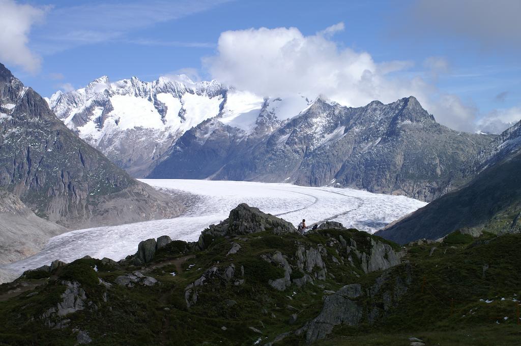 Swiss Chalet-Style Hotel Walliser Spycher รีเดอร์อัลพ์ ภายนอก รูปภาพ