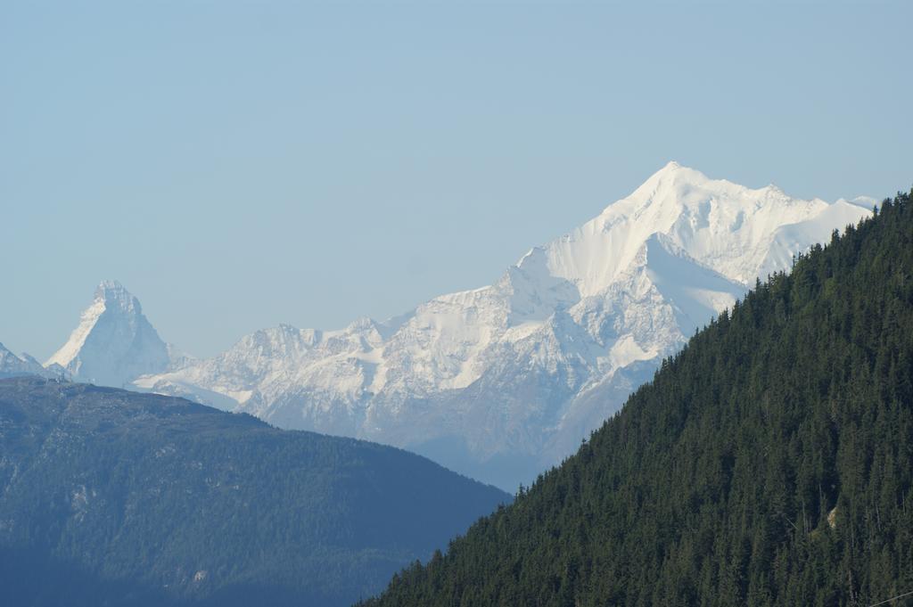 Swiss Chalet-Style Hotel Walliser Spycher รีเดอร์อัลพ์ ห้อง รูปภาพ